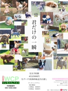 WCP／6月7月お休みのお知らせ